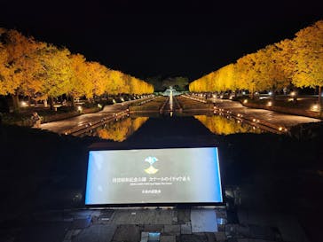 国営昭和記念公園 秋の夜散歩に投稿された画像（2025/11/11）