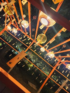 国営昭和記念公園 秋の夜散歩に投稿された画像（2025/11/11）