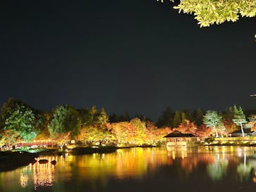 国営昭和記念公園 秋の夜散歩に投稿された画像（2025/11/11）
