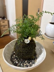 伊勢夫婦岩めおと横丁　めおと岩アクティビティに投稿された画像（2025/11/11）