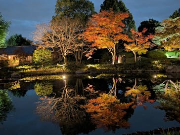 国営昭和記念公園 秋の夜散歩に投稿された画像（2025/11/12）
