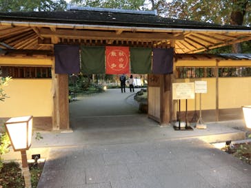 国営昭和記念公園 秋の夜散歩に投稿された画像（2025/11/12）