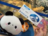 串本海中公園水族館に投稿された画像（2025/11/12）