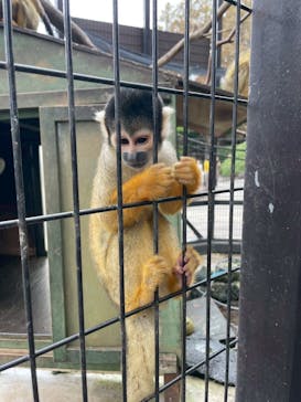 伊豆シャボテン動物公園に投稿された画像（2025/11/12）