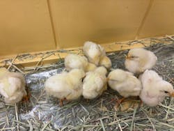 東京あそびマーレに投稿された画像（2025/11/12）