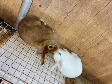 東京あそびマーレに投稿された画像（2025/11/12）