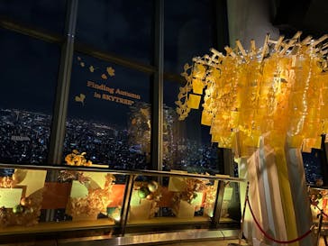 東京スカイツリーに投稿された画像（2025/11/12）