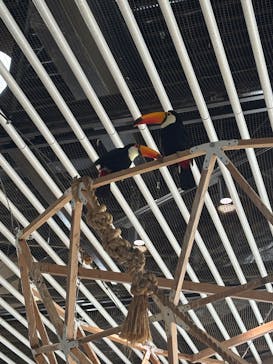 NIFREL（ニフレル）に投稿された画像（2025/11/12）