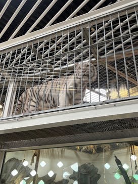 NIFREL（ニフレル）に投稿された画像（2025/11/12）