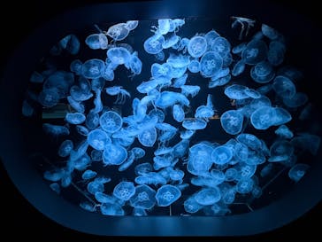 AOAO SAPPOROに投稿された画像（2025/11/12）