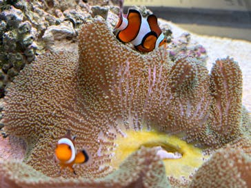 AOAO SAPPOROに投稿された画像（2025/11/12）