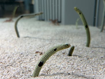 AOAO SAPPOROに投稿された画像（2025/11/12）