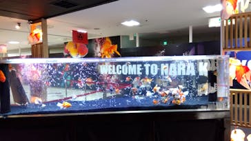 NARA KINGYO MUSEUMに投稿された画像（2025/11/12）