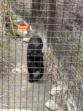 名古屋市東山動植物園に投稿された画像（2025/11/12）