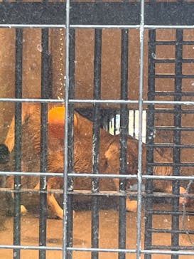 名古屋市東山動植物園に投稿された画像（2025/11/12）