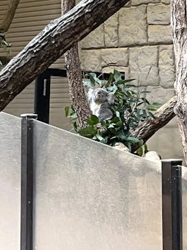 名古屋市東山動植物園に投稿された画像（2025/11/12）