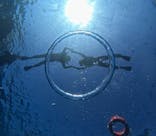 Sea World（シーワールド）に投稿された画像（2025/11/12）