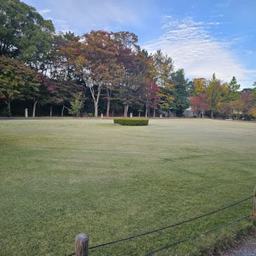 元離宮二条城に投稿された画像（2025/11/12）