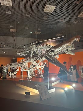 特別展「大絶滅展―生命史のビッグファイブ」に投稿された画像（2025/11/12）