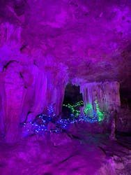 石垣島鍾乳洞に投稿された画像（2025/11/12）