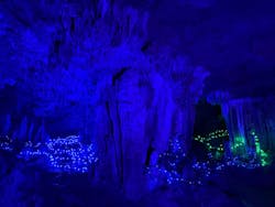 石垣島鍾乳洞に投稿された画像（2025/11/12）