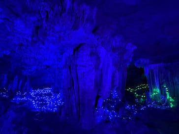 石垣島鍾乳洞に投稿された画像（2025/11/12）