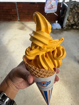 石垣島鍾乳洞に投稿された画像（2025/11/12）