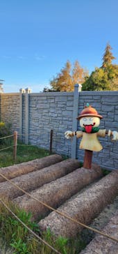 ニジゲンノモリに投稿された画像（2025/11/12）