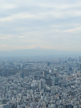 東京スカイツリーに投稿された画像（2025/11/12）