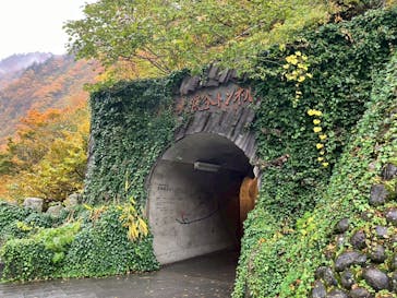 清津峡渓谷トンネルに投稿された画像（2025/11/12）
