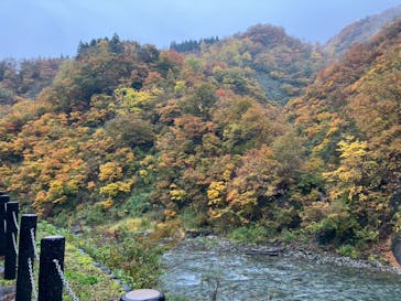 清津峡渓谷トンネルに投稿された画像（2025/11/12）