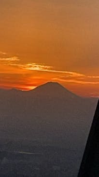 東京スカイツリーに投稿された画像（2025/11/12）