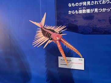 特別展「大絶滅展―生命史のビッグファイブ」に投稿された画像（2025/11/12）