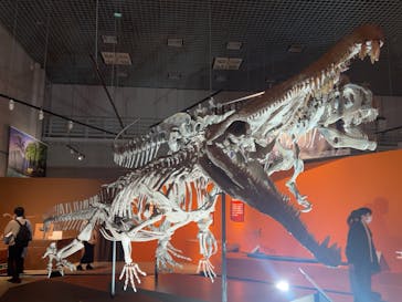 特別展「大絶滅展―生命史のビッグファイブ」に投稿された画像（2025/11/12）