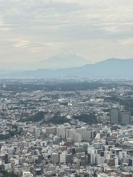 横浜ランドマークタワー 69階展望フロア スカイガーデンに投稿された画像（2025/11/12）