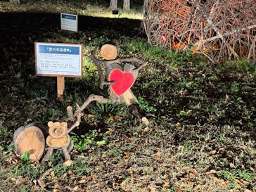 国営昭和記念公園 秋の夜散歩に投稿された画像（2025/11/12）