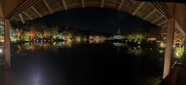 国営昭和記念公園 秋の夜散歩に投稿された画像（2025/11/12）
