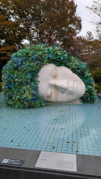 彫刻の森美術館に投稿された画像（2025/11/12）