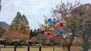 彫刻の森美術館に投稿された画像（2025/11/12）