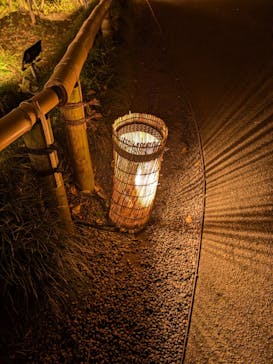 国営昭和記念公園 秋の夜散歩に投稿された画像（2025/11/12）