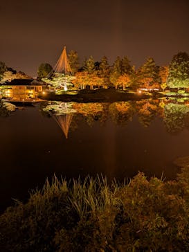国営昭和記念公園 秋の夜散歩に投稿された画像（2025/11/12）