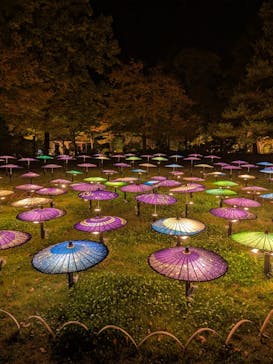 国営昭和記念公園 秋の夜散歩に投稿された画像（2025/11/12）