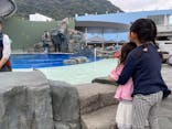 大分マリーンパレス水族館 「うみたまご」に投稿された画像（2025/11/13）