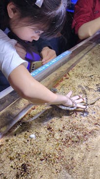 ゼロ距離水族館 伊勢シーパラダイスに投稿された画像（2025/11/12）