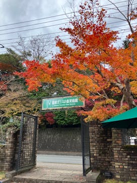 箱根ガラスの森美術館に投稿された画像（2025/11/12）