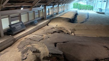 北淡震災記念公園　野島断層保存館に投稿された画像（2025/11/12）