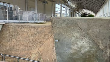 北淡震災記念公園　野島断層保存館に投稿された画像（2025/11/12）