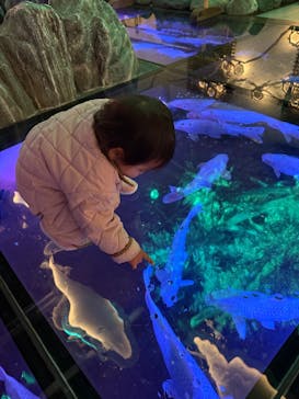 AQUARIUM × ART　atoaに投稿された画像（2025/11/13）