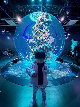 AQUARIUM × ART　atoaに投稿された画像（2025/11/13）