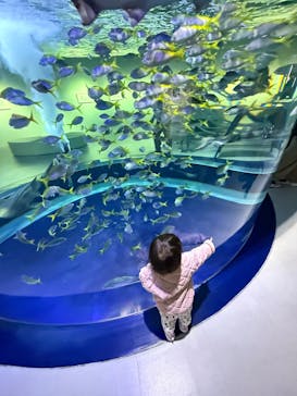 AQUARIUM × ART　atoaに投稿された画像（2025/11/13）
